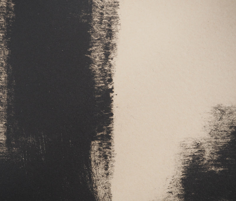 Nicolas CARREGA : Paysage flou, Lithographie originale signée