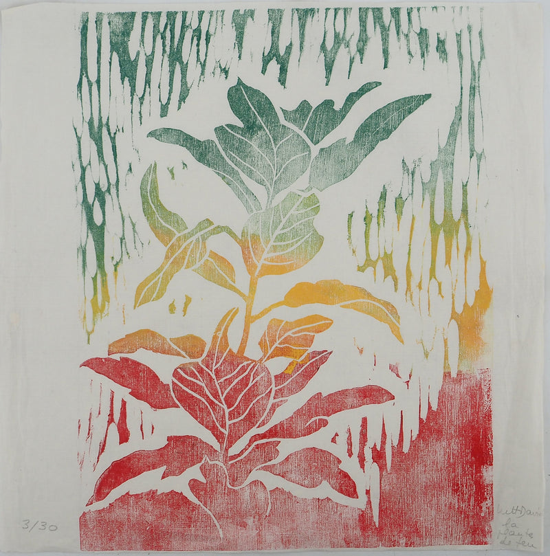 David LUTT : La plante de feu, Gravure originale signée