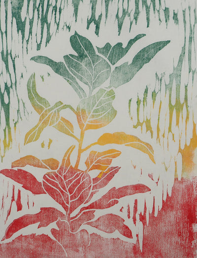 David LUTT : La plante de feu, Gravure originale signée