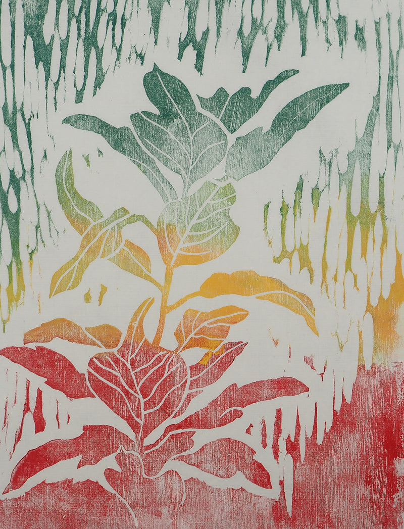 David LUTT : La plante de feu, Gravure originale signée