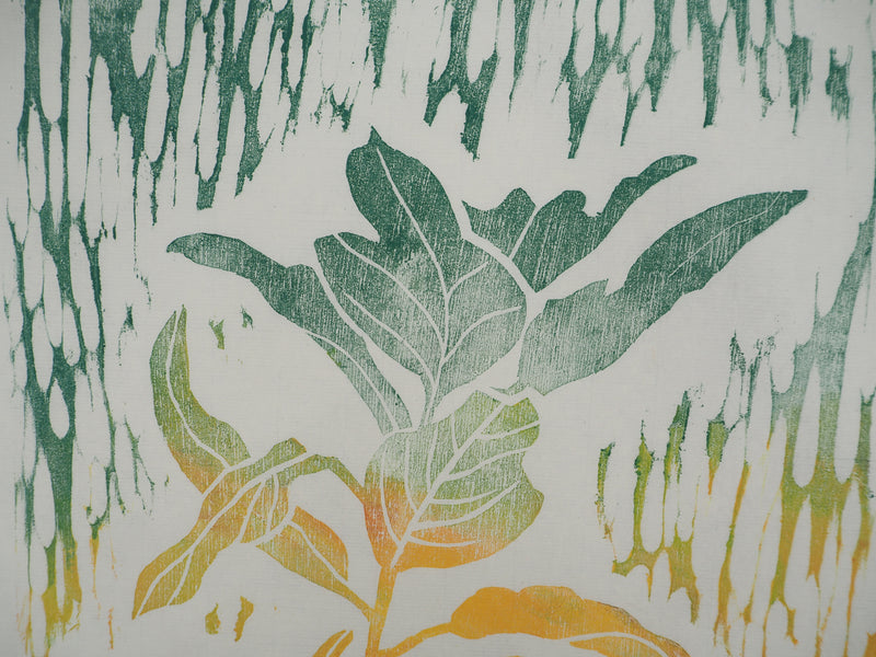 David LUTT : La plante de feu, Gravure originale signée
