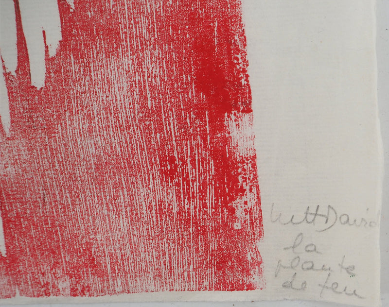David LUTT : La plante de feu, Gravure originale signée