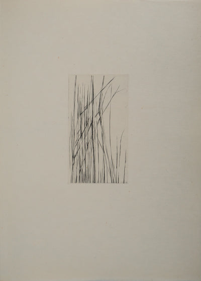 Maria Helena VIEIRA DA SILVA : À travers les feuilles, Gravure originale