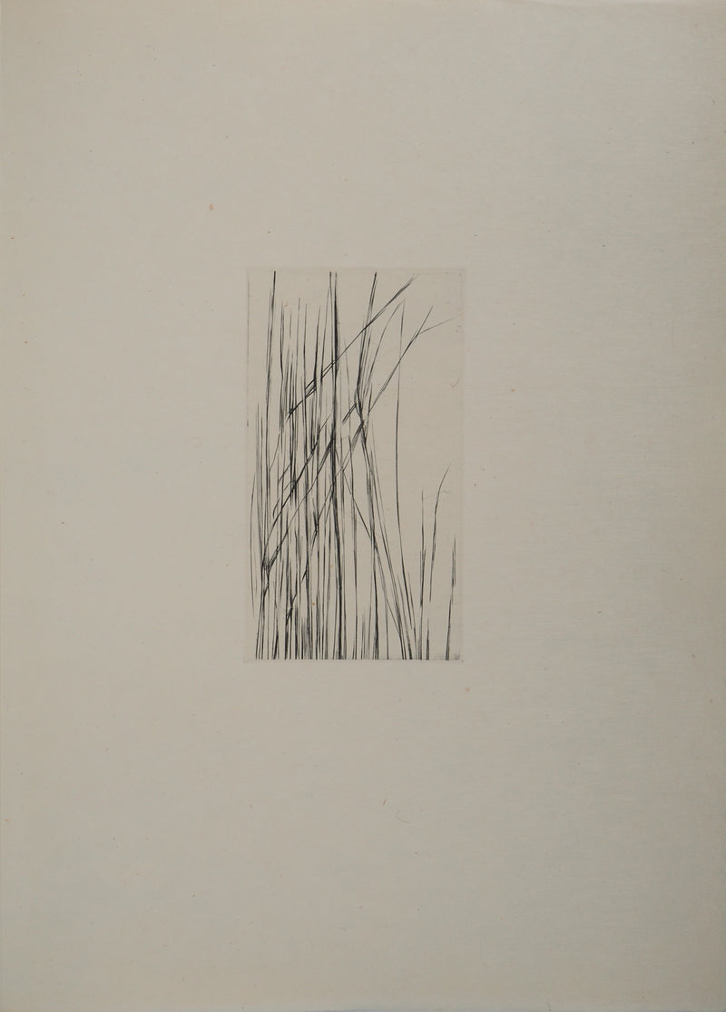 Maria Helena VIEIRA DA SILVA : À travers les feuilles, Gravure originale