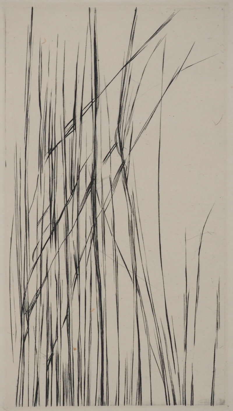 Maria Helena VIEIRA DA SILVA : À travers les feuilles, Gravure originale