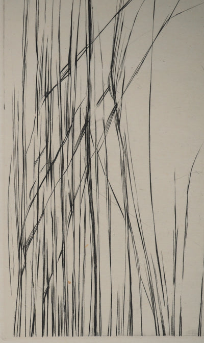 Maria Helena VIEIRA DA SILVA : À travers les feuilles, Gravure originale
