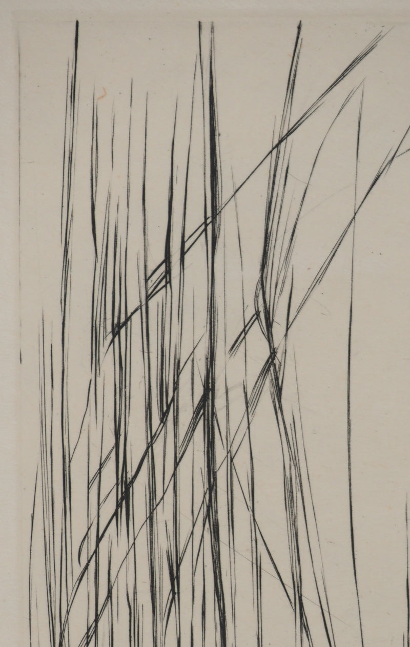 Maria Helena VIEIRA DA SILVA : À travers les feuilles, Gravure originale