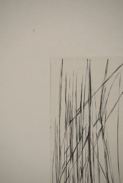 Maria Helena VIEIRA DA SILVA : À travers les feuilles, Gravure originale