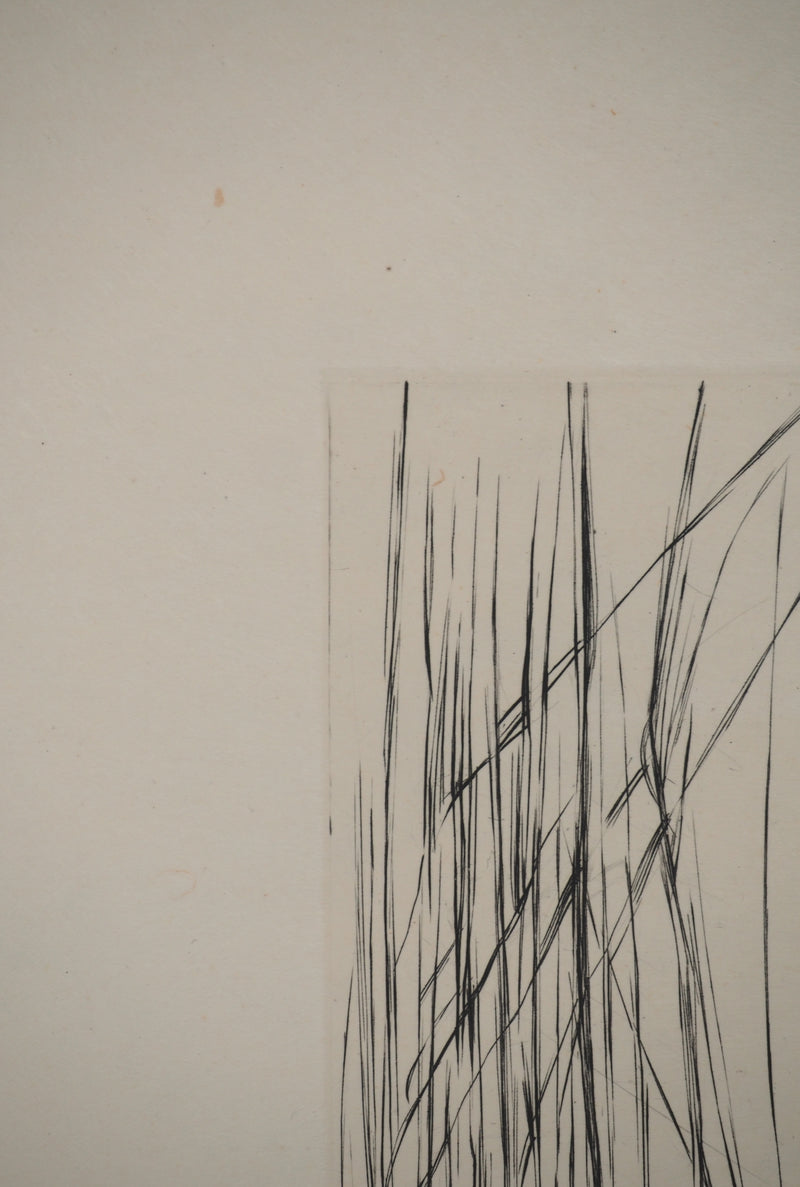 Maria Helena VIEIRA DA SILVA : À travers les feuilles, Gravure originale