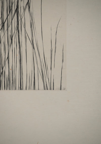 Maria Helena VIEIRA DA SILVA : À travers les feuilles, Gravure originale