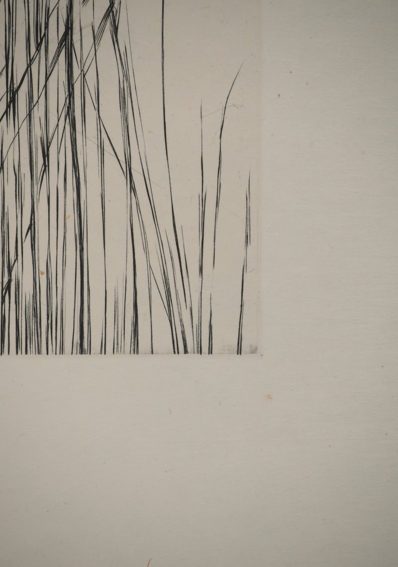Maria Helena VIEIRA DA SILVA : À travers les feuilles, Gravure originale