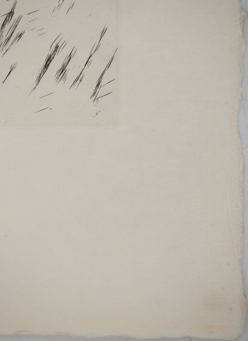 Maria Helena VIEIRA DA SILVA : Les vents des Pyrénées, Gravure originale