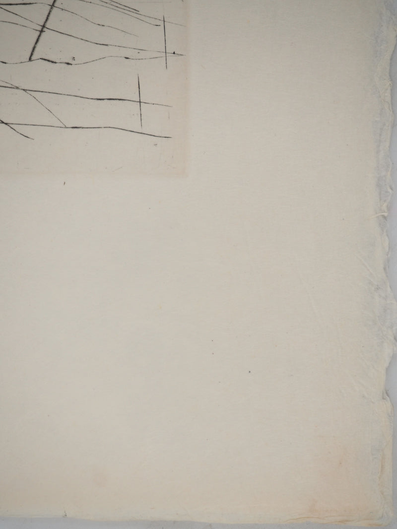 Maria Helena VIEIRA DA SILVA : La lumière dans la pénombre, Gravure originale