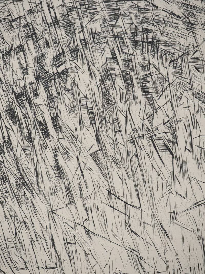 Maria Helena VIEIRA DA SILVA : Architectes de l’invisible, Gravure originale