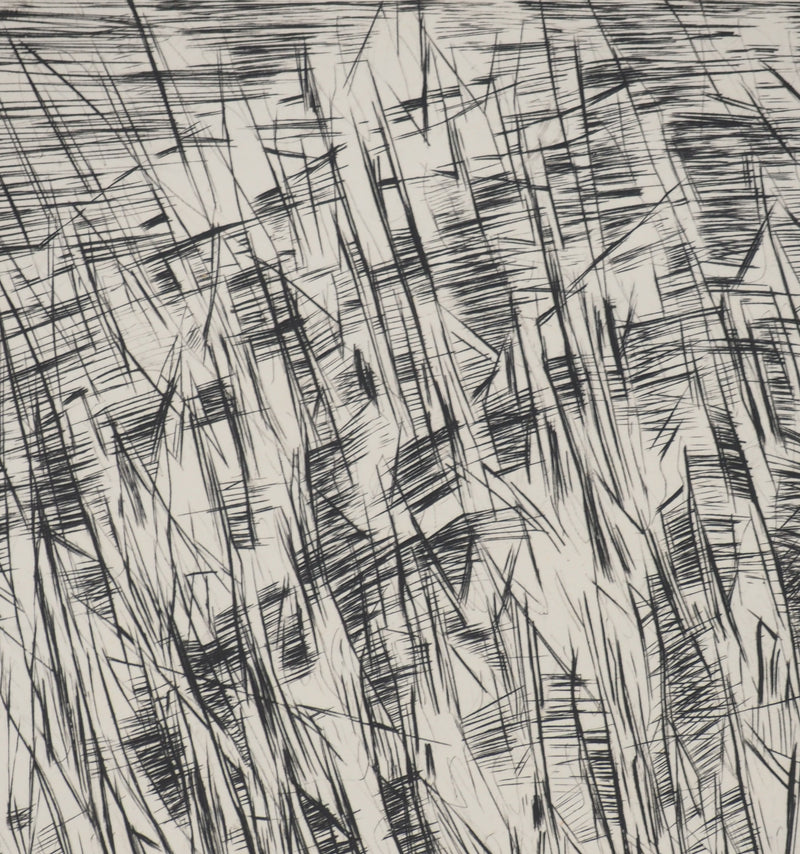 Maria Helena VIEIRA DA SILVA : Architectes de l’invisible, Gravure originale