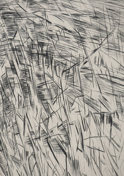 Maria Helena VIEIRA DA SILVA : Architectes de l’invisible, Gravure originale