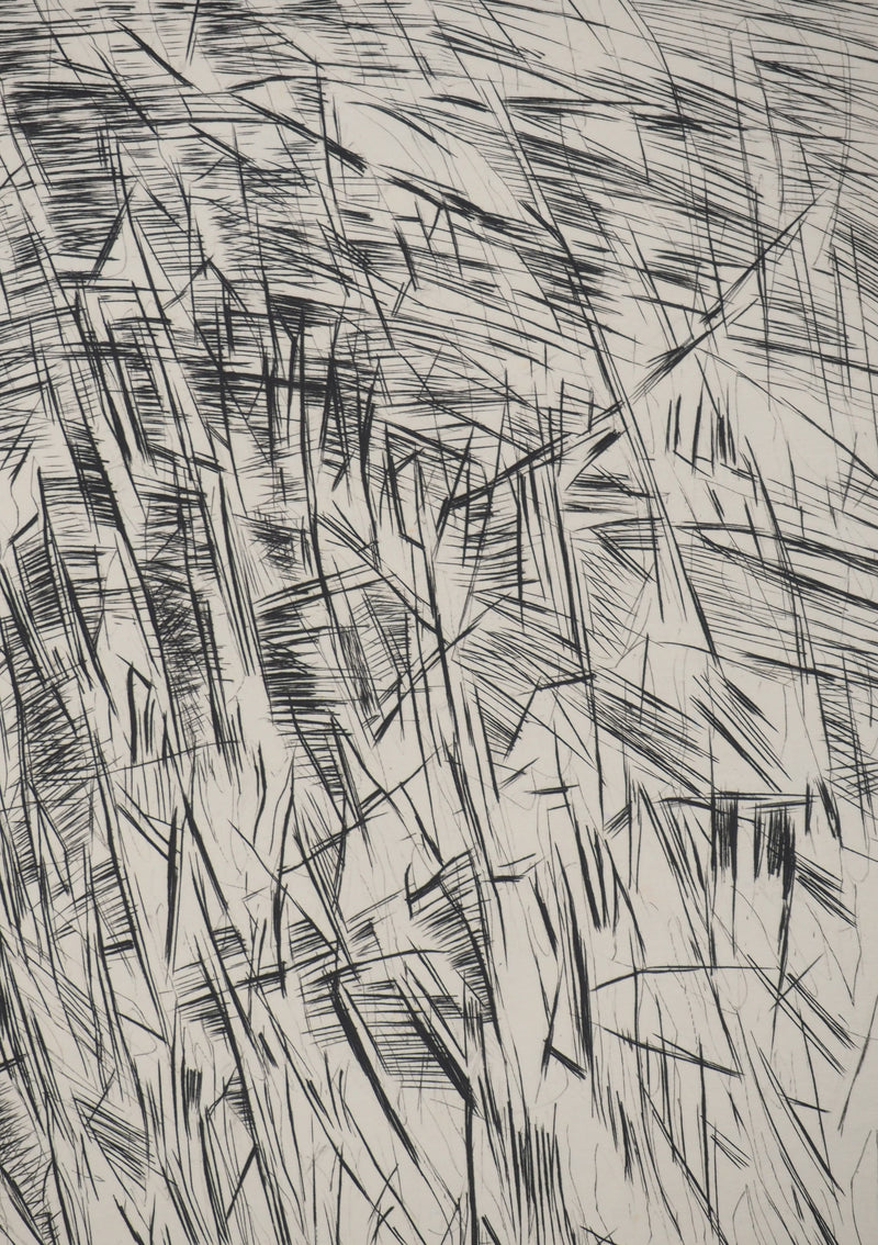 Maria Helena VIEIRA DA SILVA : Architectes de l’invisible, Gravure originale