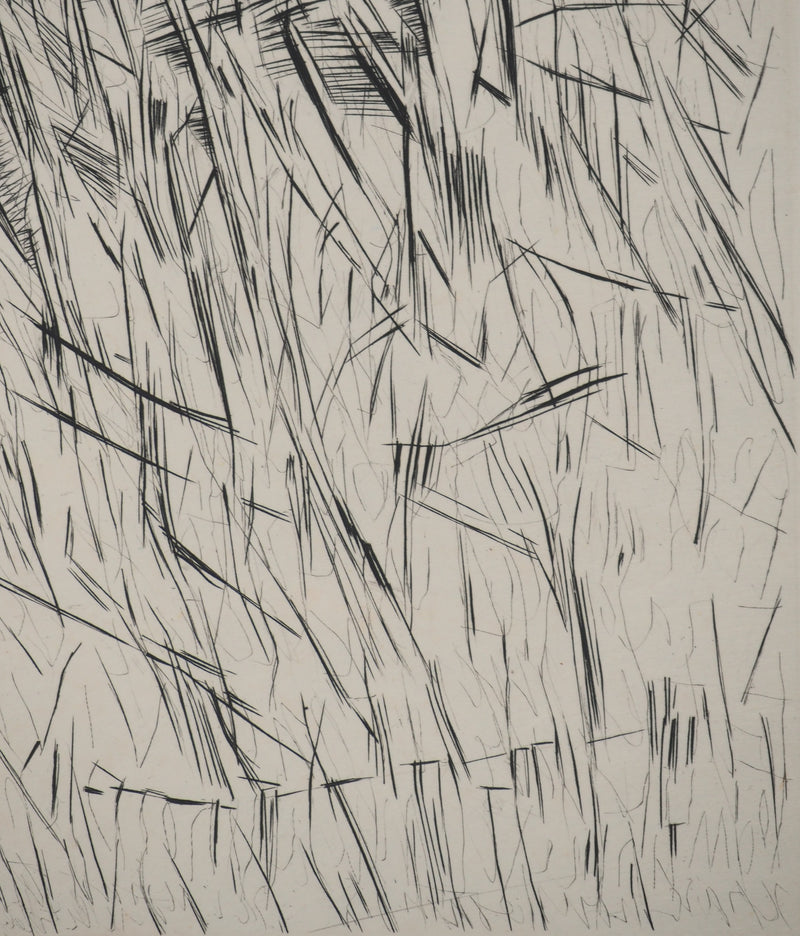 Maria Helena VIEIRA DA SILVA : Architectes de l’invisible, Gravure originale