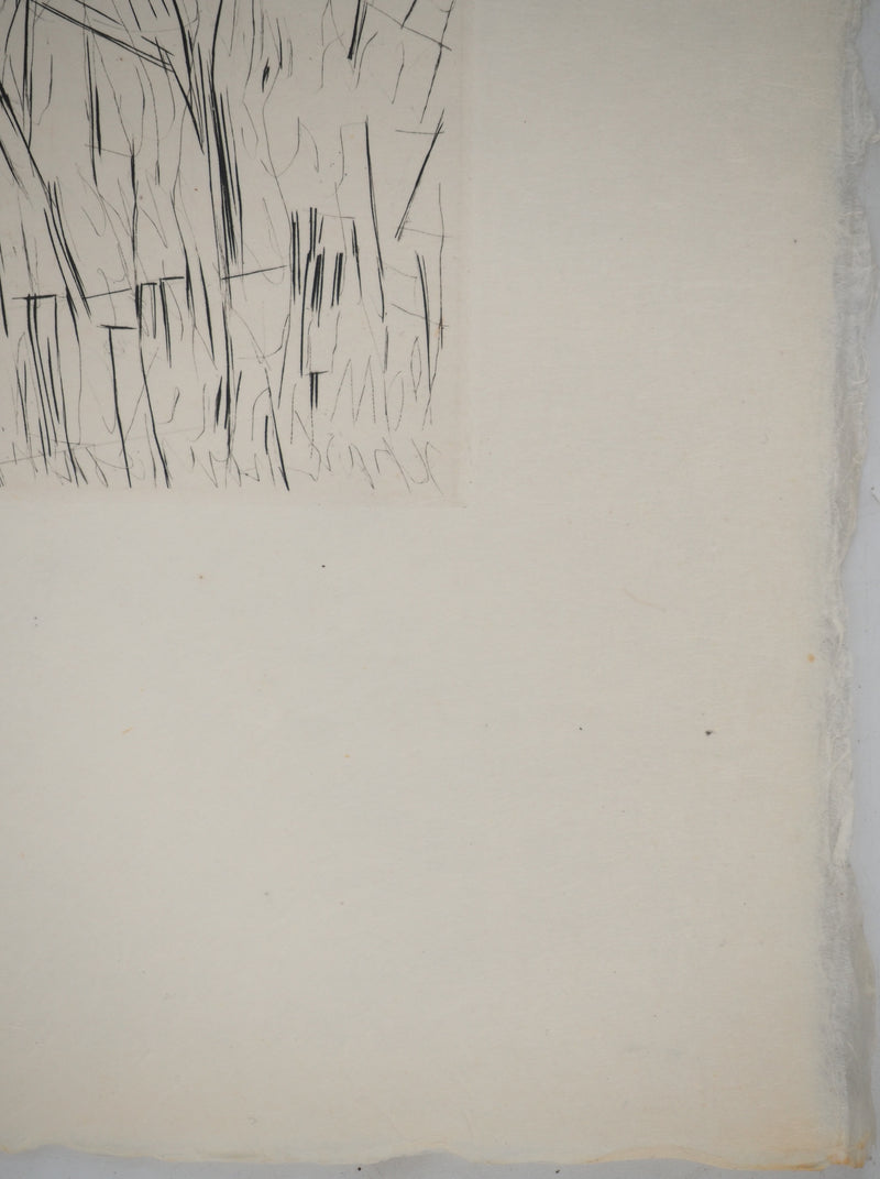Maria Helena VIEIRA DA SILVA : Architectes de l’invisible, Gravure originale