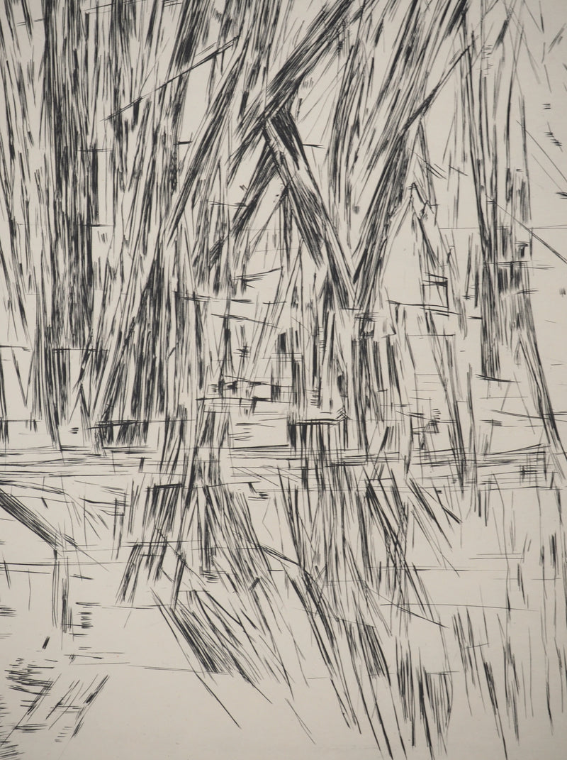 Maria Helena VIEIRA DA SILVA : Pluie nocturne, Gravure originale