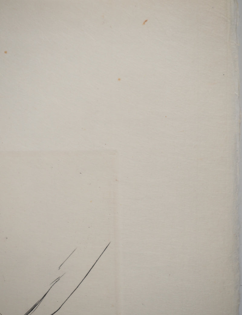 Maria Helena VIEIRA DA SILVA : Floraison angulaire, Gravure originale