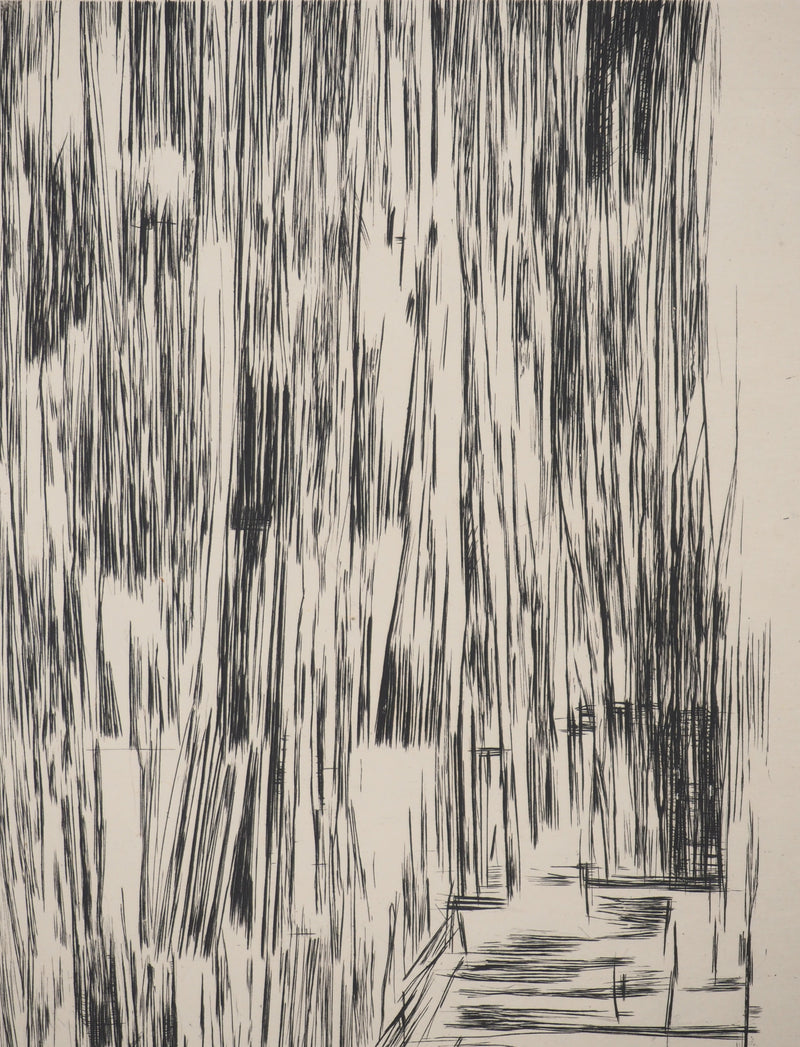 Maria Helena VIEIRA DA SILVA : Silence rayé, Gravure originale