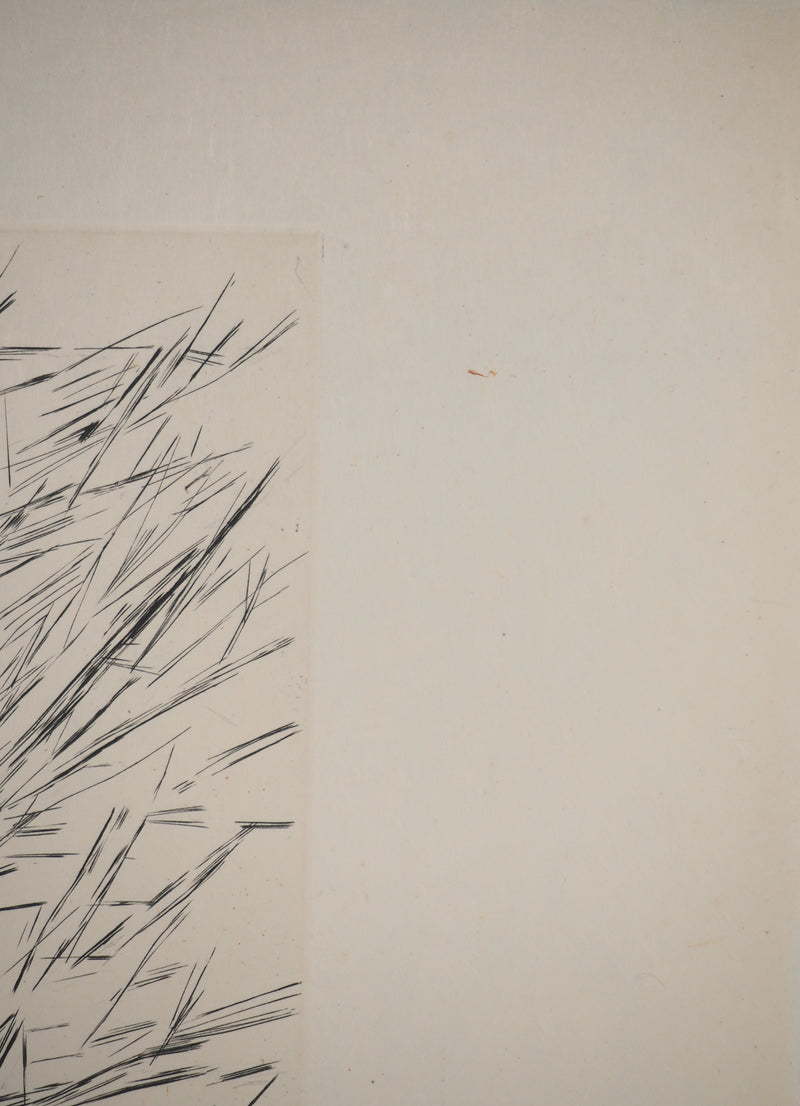 Maria Helena VIEIRA DA SILVA : Trame obscure, Gravure originale