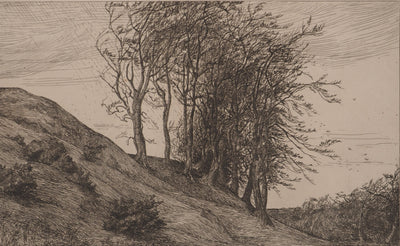 George HOWARD : La colline (ou Révolte), Gravure originale (vue générale) - Crédit photo : Galerie Art.Paris