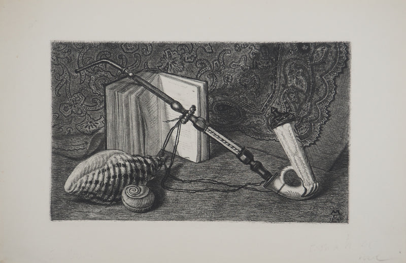 Michel CIRY : Les coquillages, Gravure originale signée