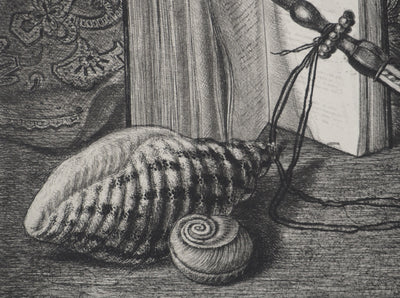 Michel CIRY : Les coquillages, Gravure originale signée