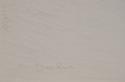Costa TSOCLIS : La ligne, Lithographie originale signée