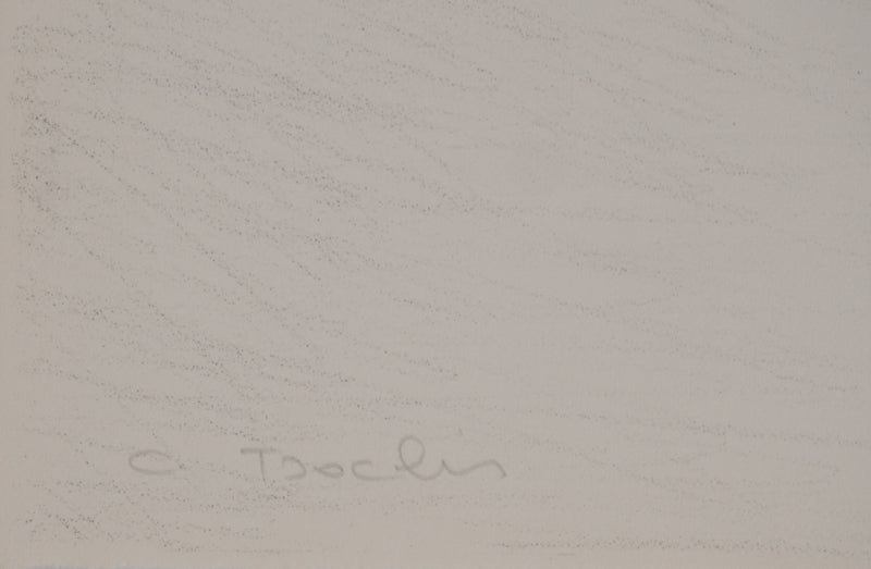 Costa TSOCLIS : La ligne, Lithographie originale signée