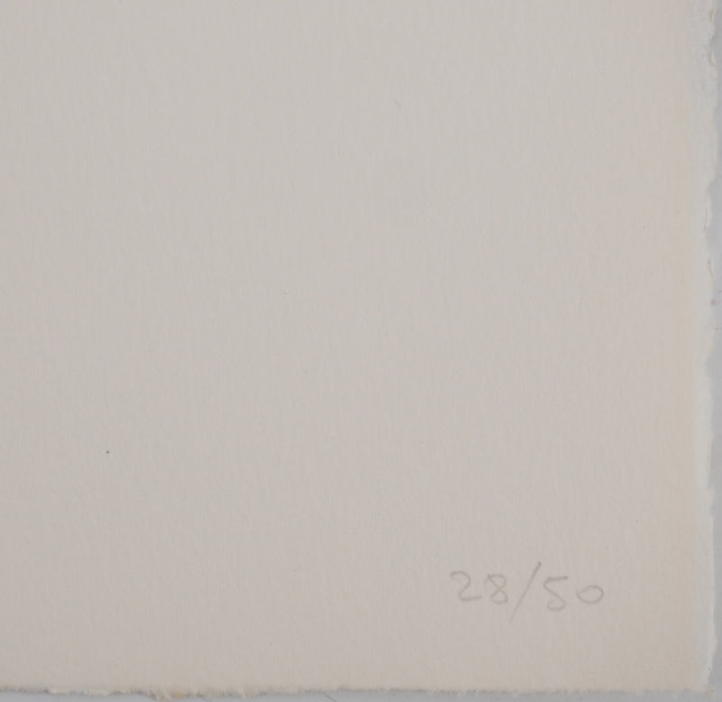 Costa TSOCLIS : Bout de bois, Lithographie originale signée