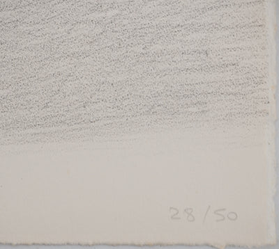 Costa TSOCLIS : L'écrasement, Lithographie originale signée