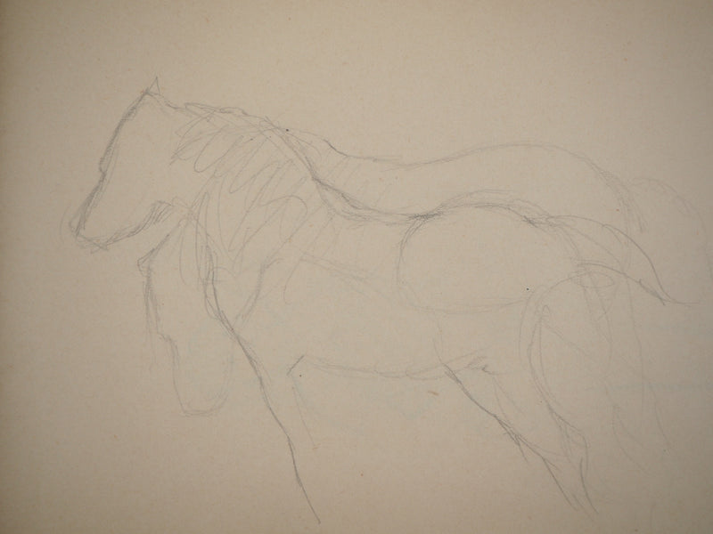 Marie LAURENCIN : Etude des chevaux, Dessin original signé