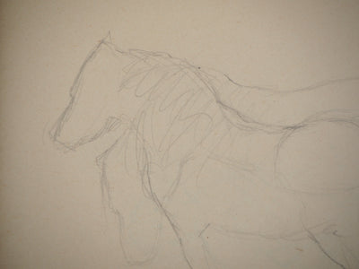 Marie LAURENCIN : Etude des chevaux, Dessin original signé