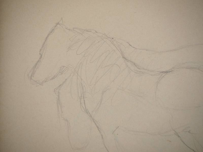 Marie LAURENCIN : Etude des chevaux, Dessin original signé