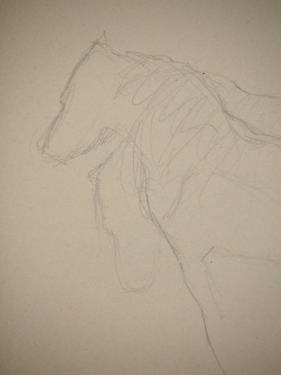 Marie LAURENCIN : Etude des chevaux, Dessin original signé