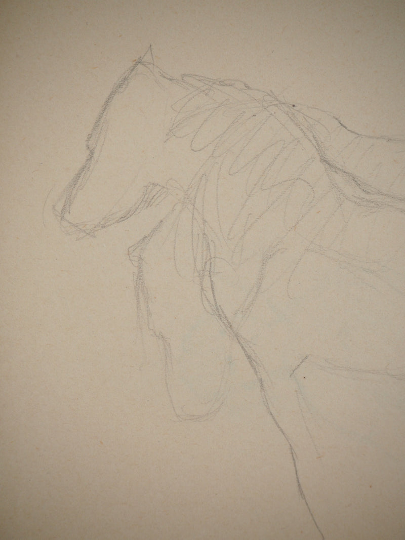 Marie LAURENCIN : Etude des chevaux, Dessin original signé