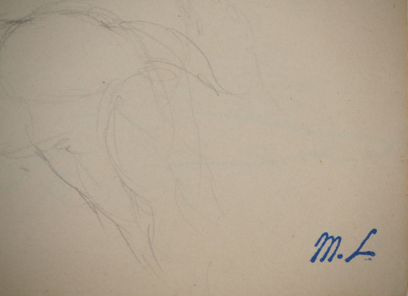 Marie LAURENCIN : Etude des chevaux, Dessin original signé