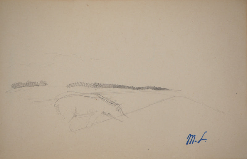 Marie LAURENCIN : Le cheval dans la prairie, Dessin original signé