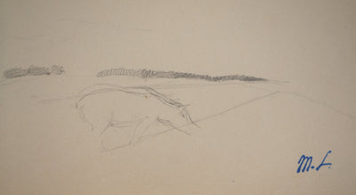 Marie LAURENCIN : Le cheval dans la prairie, Dessin original signé