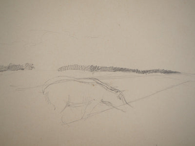 Marie LAURENCIN : Le cheval dans la prairie, Dessin original signé