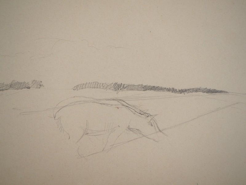 Marie LAURENCIN : Le cheval dans la prairie, Dessin original signé