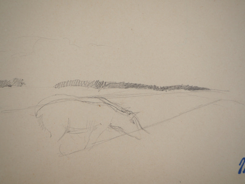 Marie LAURENCIN : Le cheval dans la prairie, Dessin original signé