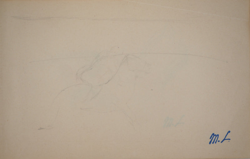Marie LAURENCIN : Etude d&