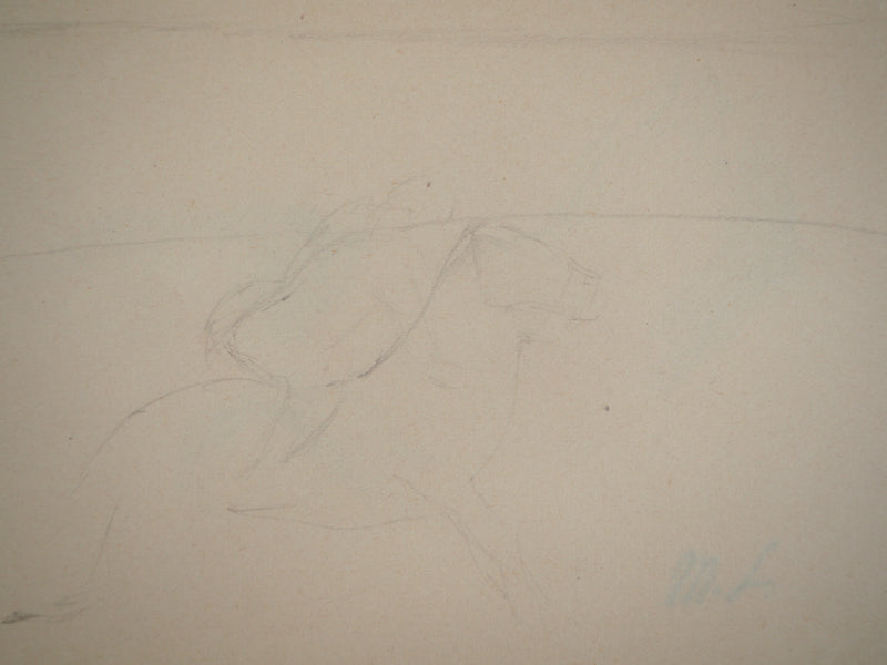 Marie LAURENCIN : Etude d&