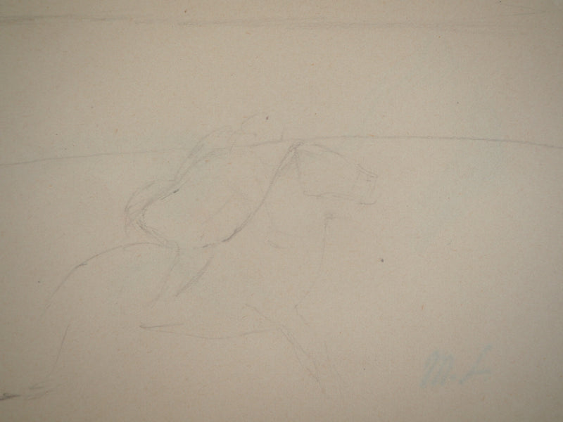 Marie LAURENCIN : Etude d&