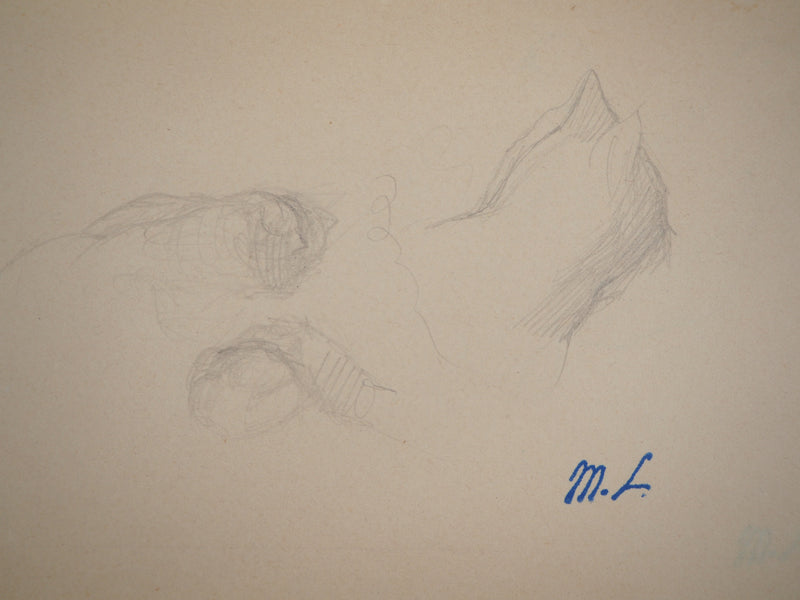 Marie LAURENCIN : Les chatons, Dessin original signé