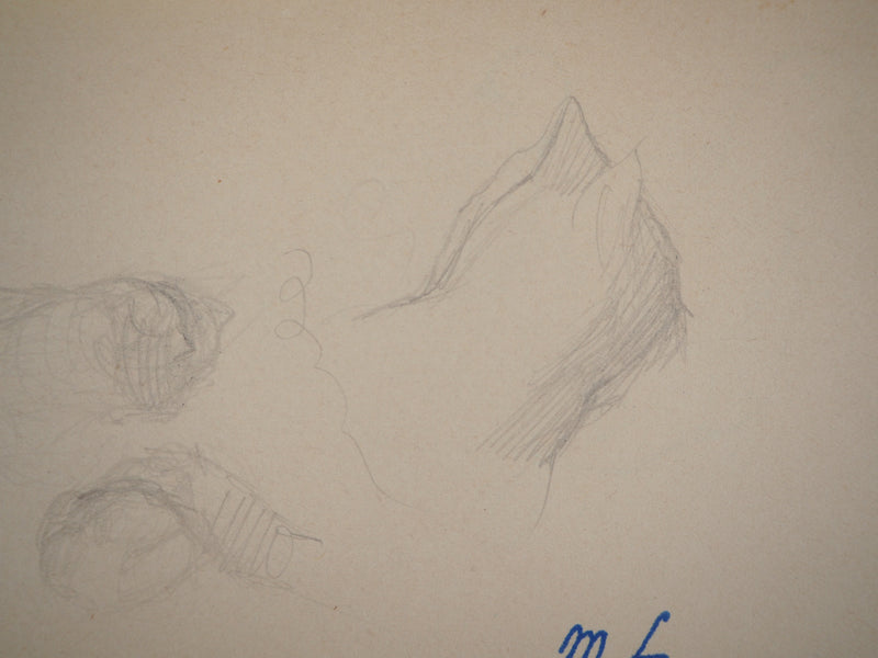 Marie LAURENCIN : Les chatons, Dessin original signé